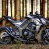 KAWASAKI Z1000 2014-2018 Carbon Fiber Frame Covers